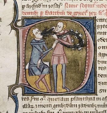 Miniature on a initial 'D' with a scene representing teeth ("dentes"). 