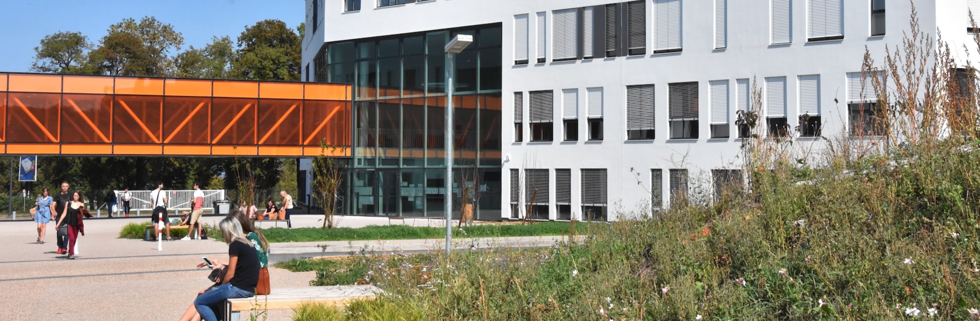 Photo du campus de la faculté d'odontologie de Lorraine
